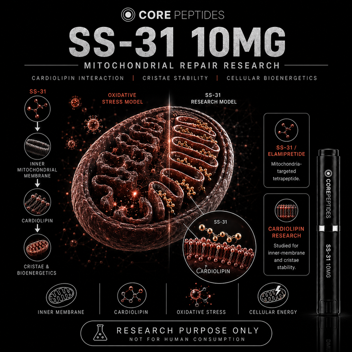 Core Peptides SS-31 10mg mitochondrial research artwork