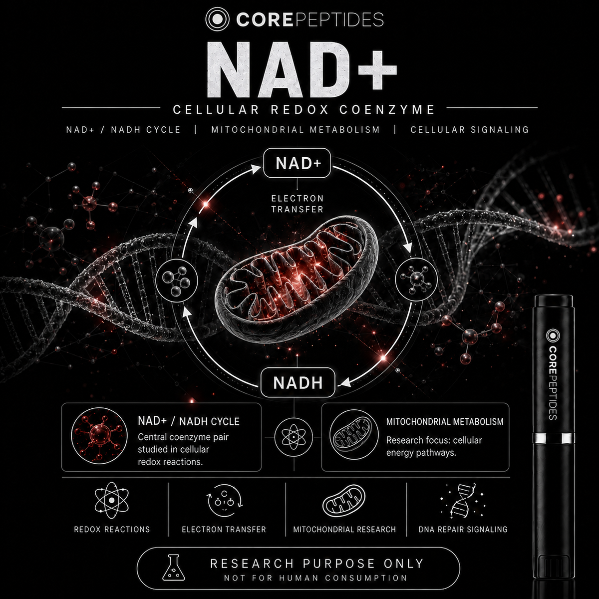 Core Peptides NAD+ 1000mg cellular redox research artwork